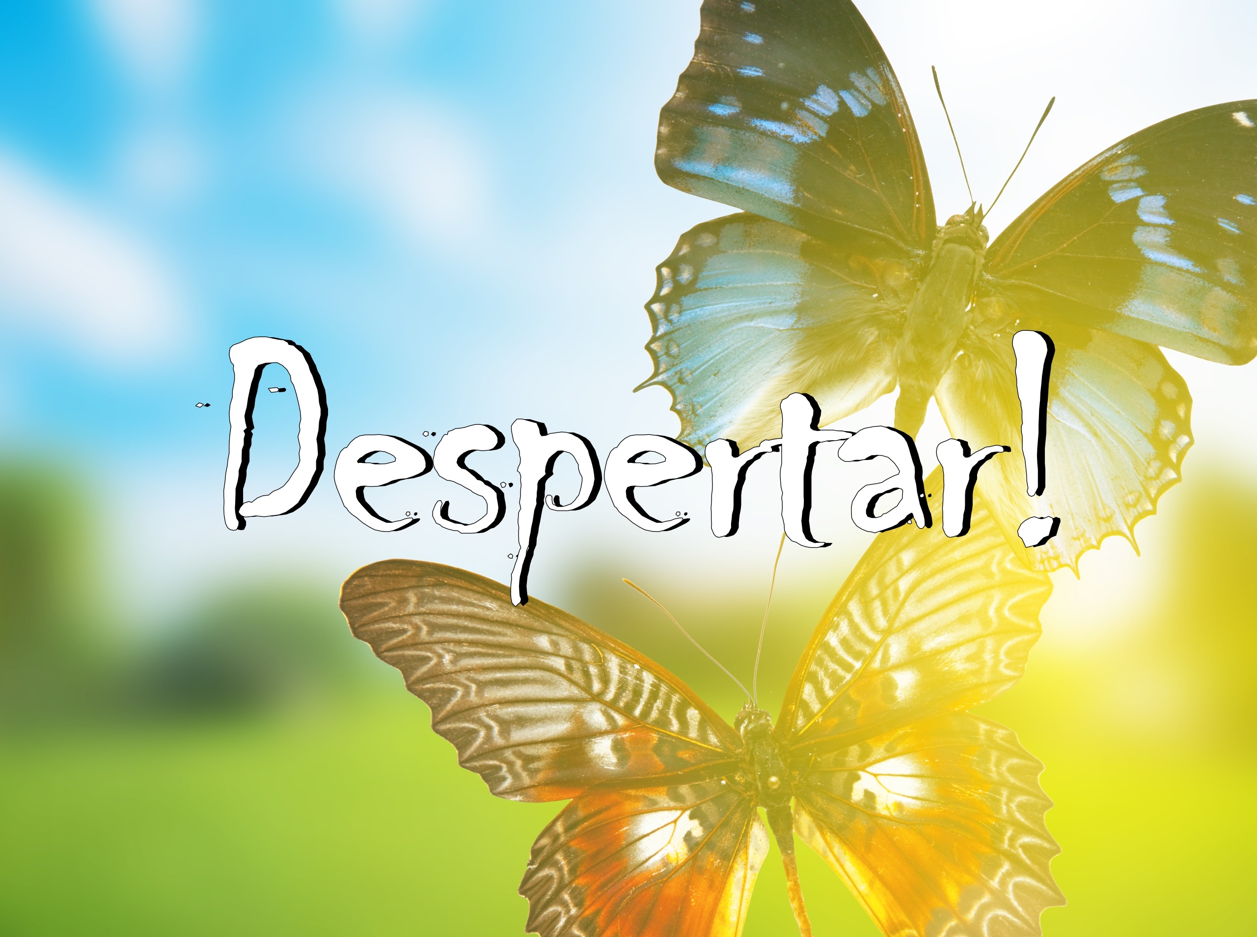 A dor incomoda, mas a dor não machuca: A dor ensina e desperta!